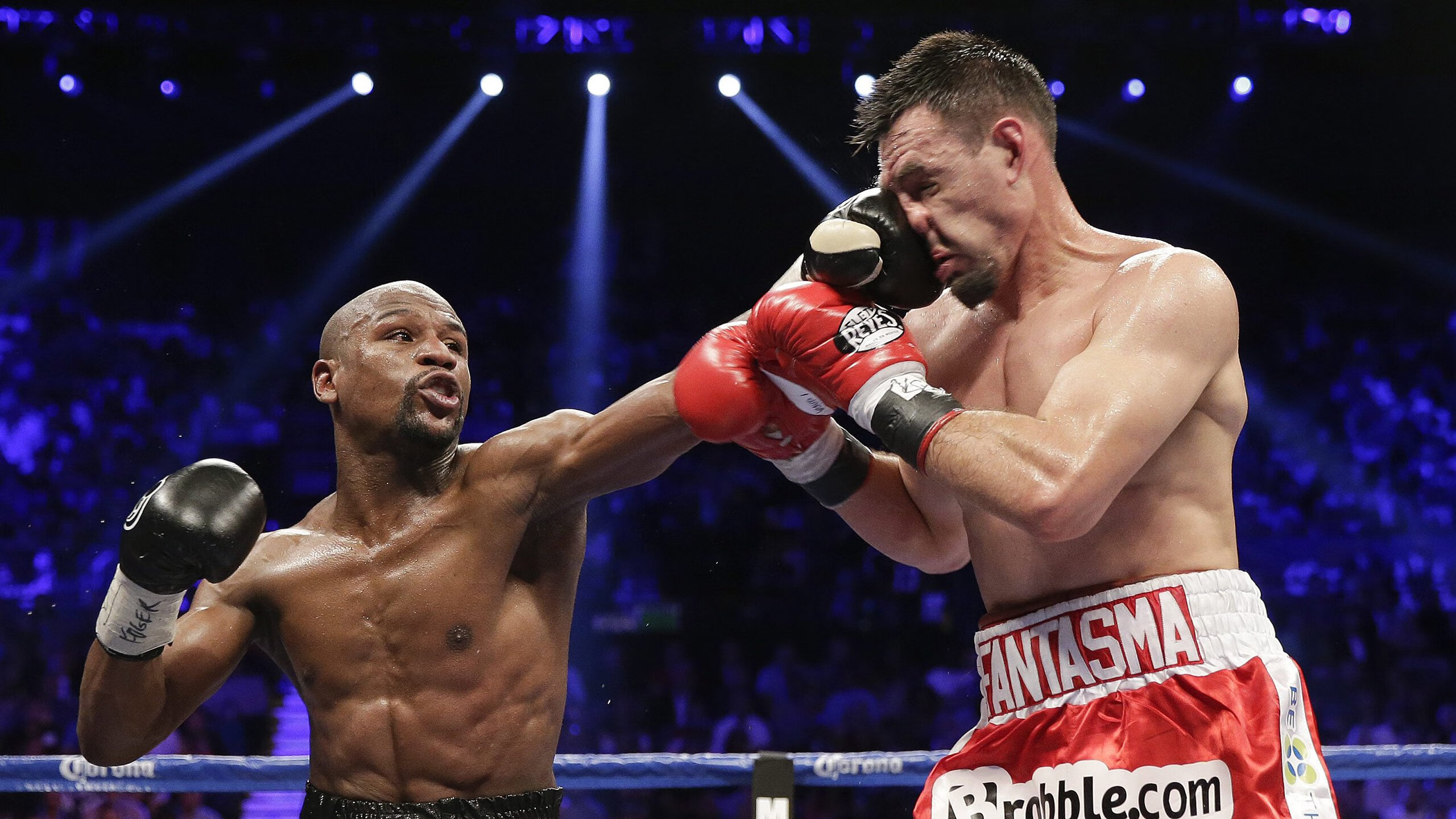 城市体育场馆数字化管理系统正式投入使用,体育场馆智慧管理系统