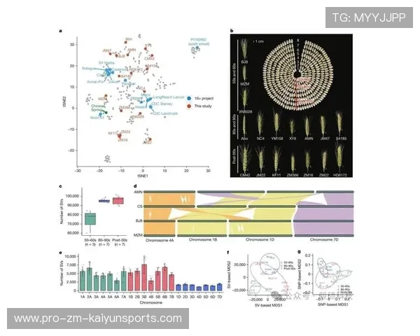 200蝶划频与心率数据关联分析
